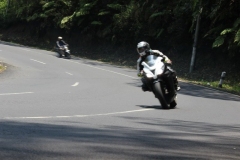 95649IMG_0633