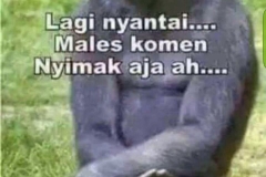 488369IMG-20151108-WA007