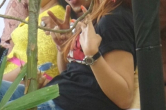 618636IMG-20151108-WA046