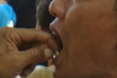 753131IMG-20151108-WA053