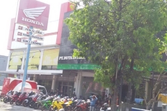 463889IMG-20151115-WA027